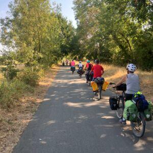 Nombreux vélos sur la route