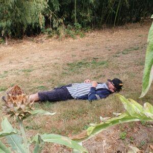 Sieste postprandiale de Pamphile.